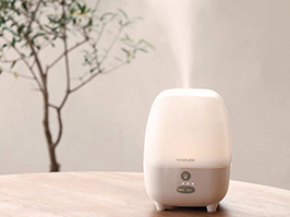 1_1-106 イメージ:加湿量100ml/h