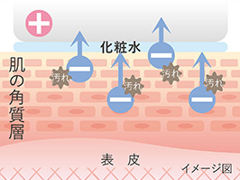 1_1-34 イメージ:クレンジング