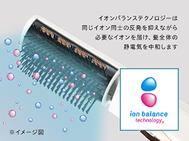 1_1-6 イメージ:イオンバランステクノロジー