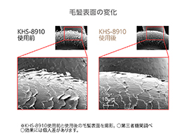 1_4-29 イメージ:毛髪表面の変化