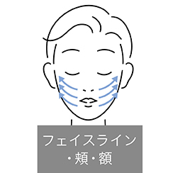 イメージ:フェイスライン・頬・額