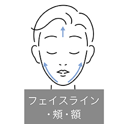イメージ:フェイスライン・頬・額