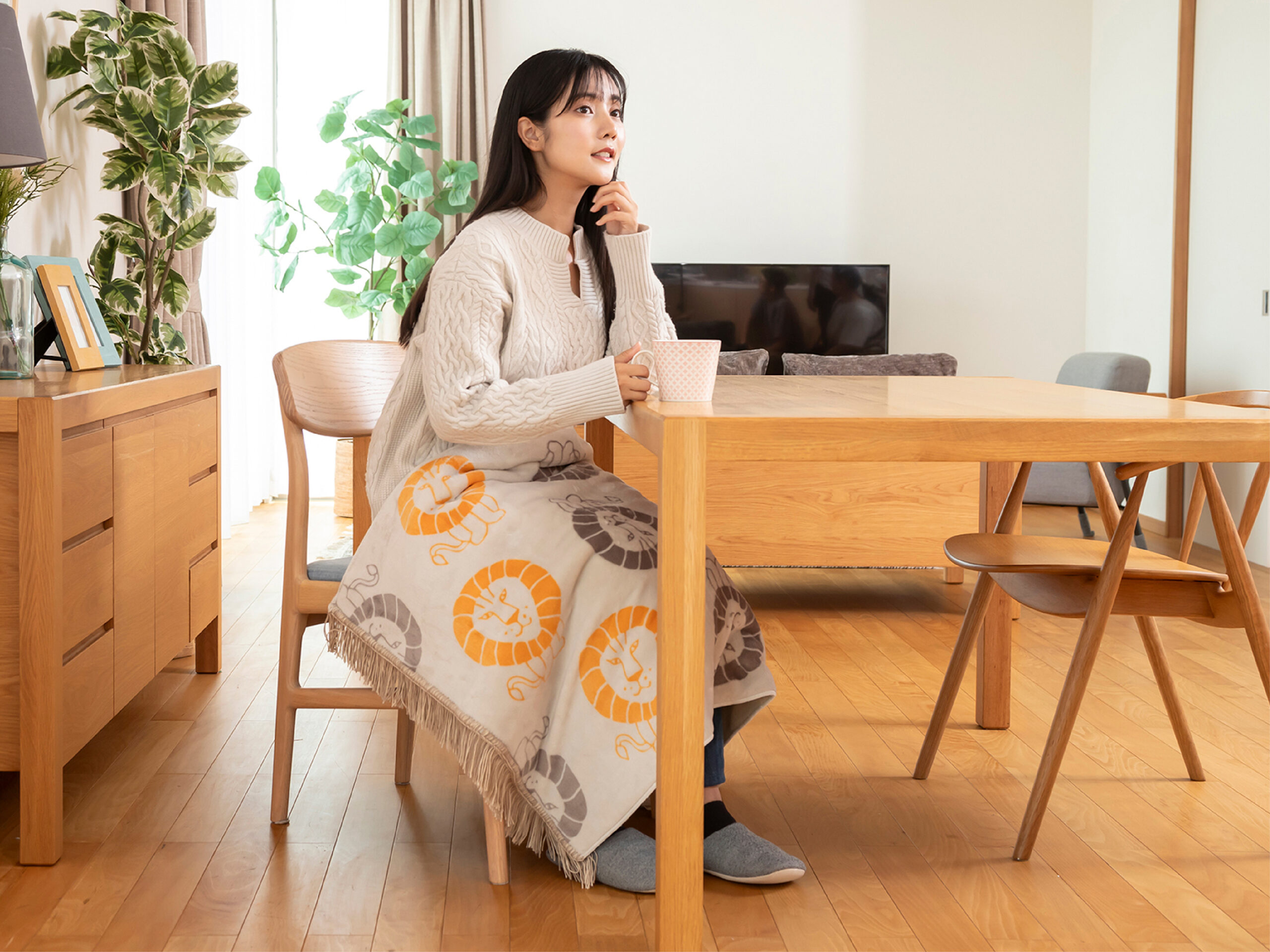 電気ひざ掛け KDH-L306 - Ảnh 3