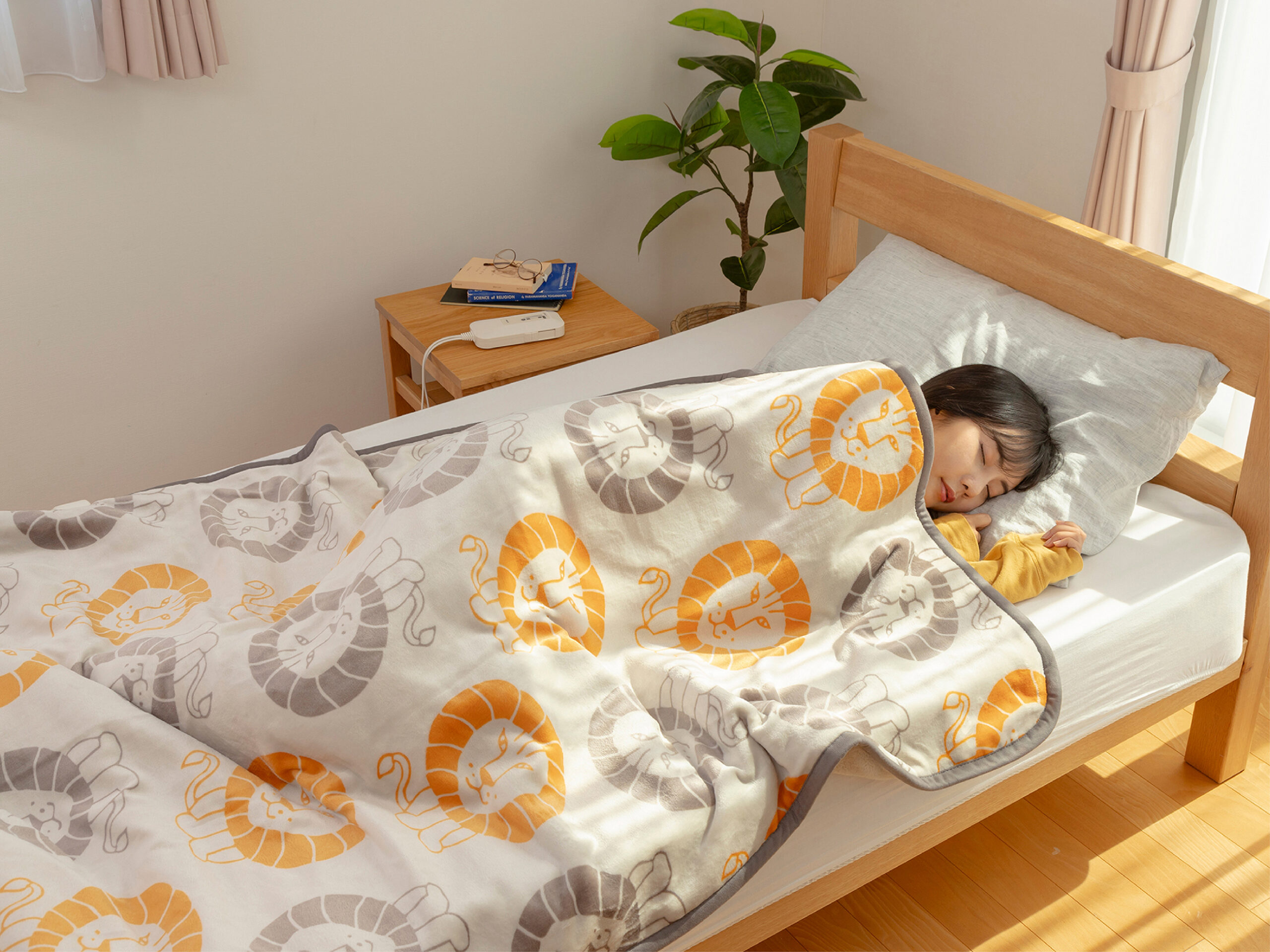 電気掛敷毛布 KDK-L305 - Ảnh 2