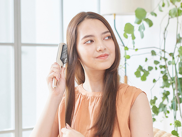 リセットブラシ KBE-2200/C・H - Ảnh 10